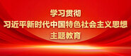 少妇肥B多水学习贯彻习近平新时代中国特色社会主义思想主题教育_fororder_ad-371X160(2)